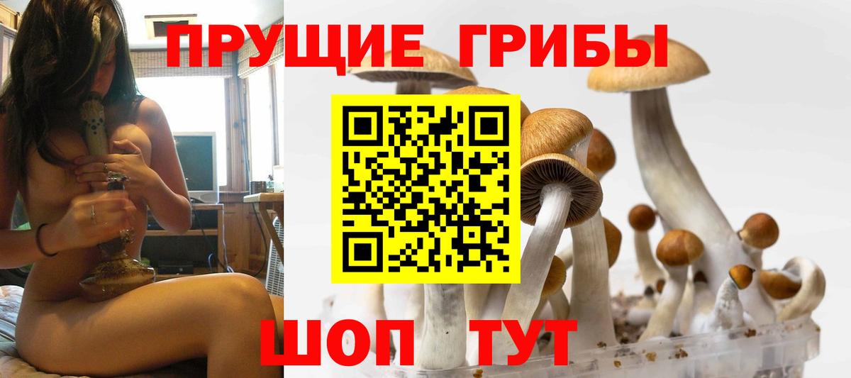 Галлюциногенные грибы мицелий Топки